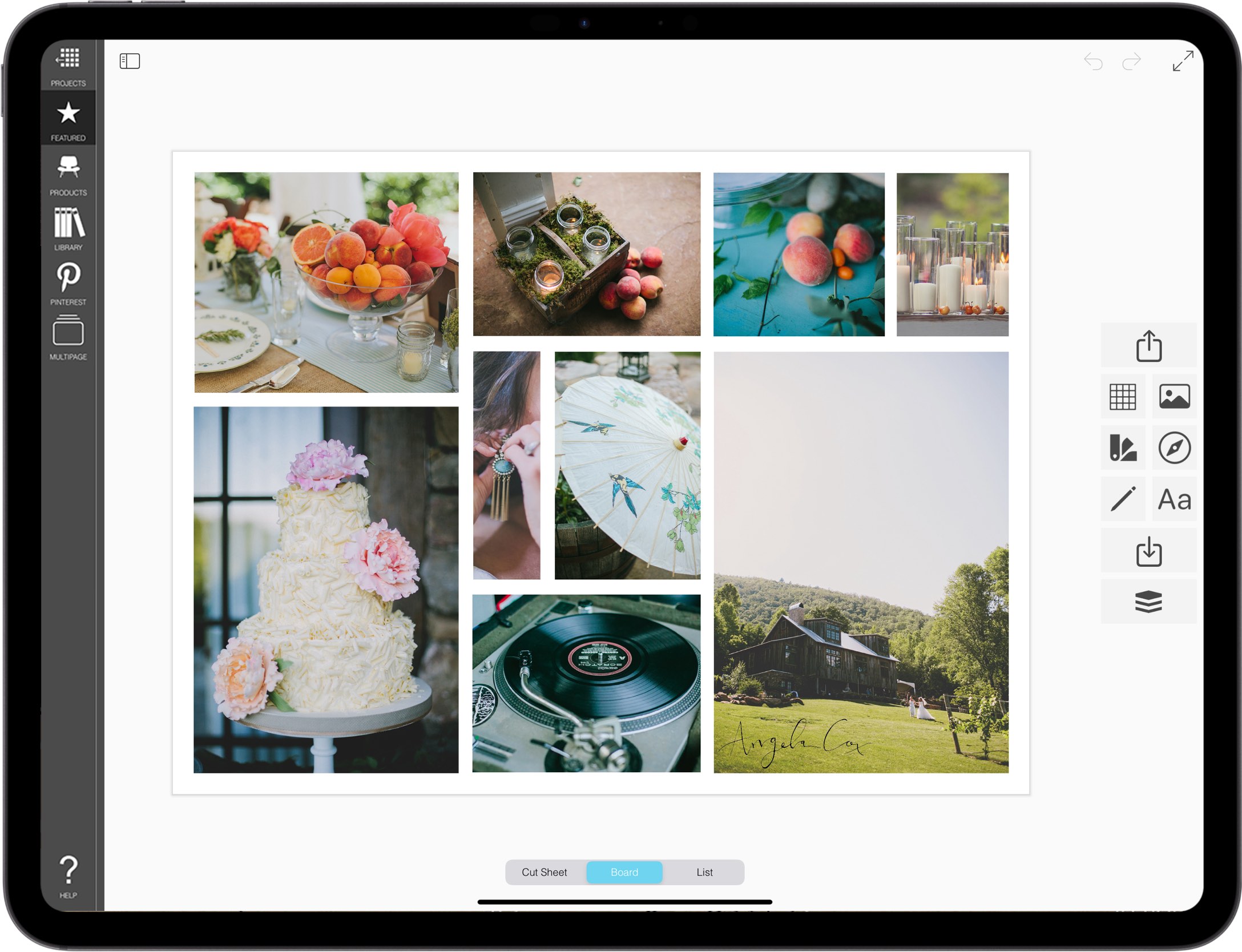 best creative mood board app for iPad_moodboard maker_moodboards_mood board maker_02_Event mood board_My Dream Wedding